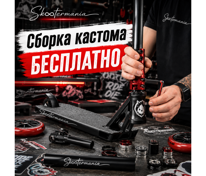 Бесплатная сборка кастома